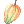 Cacau
