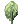 Ectoplasma