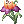 Flor de Valhalla