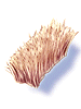 Crina