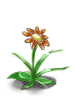 Florzinha